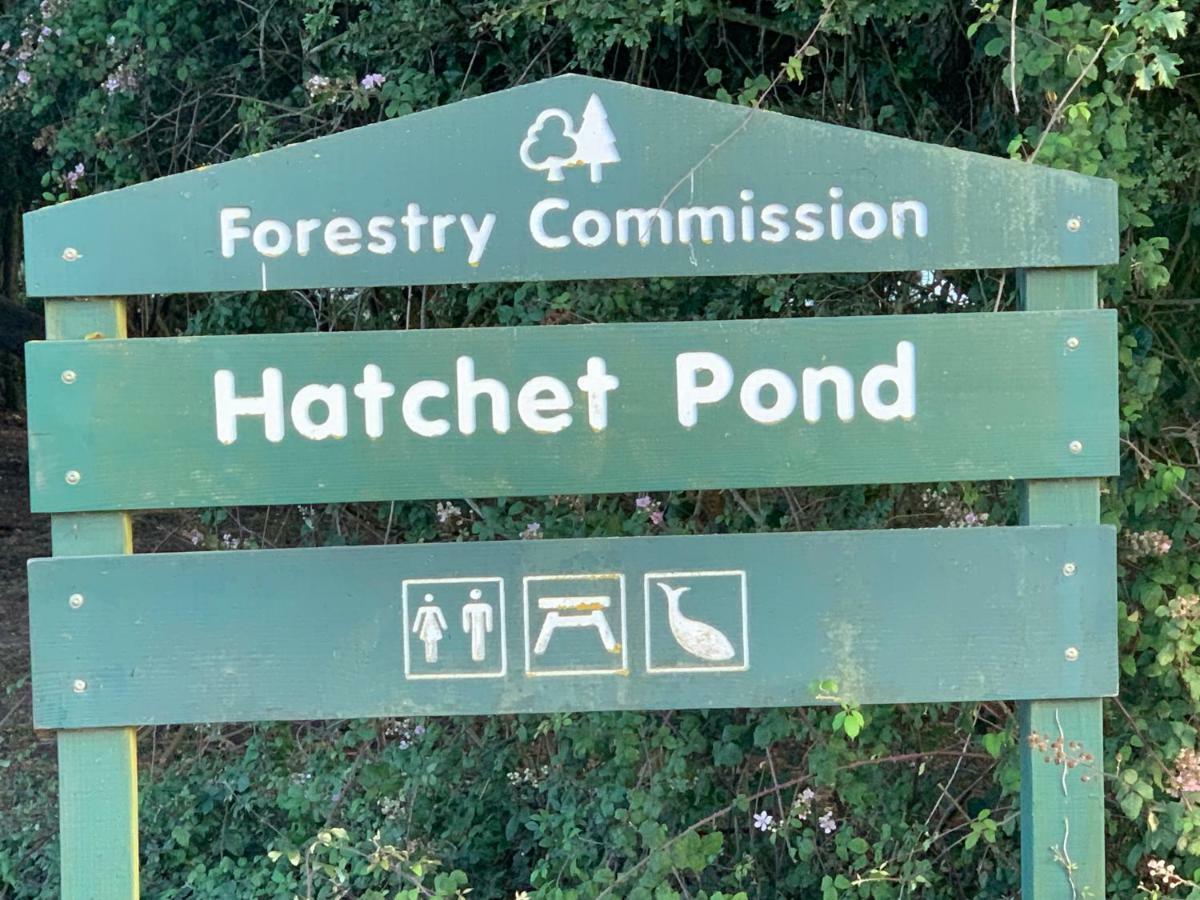 新米尔顿Forest & Beach Access Naish Park公寓 外观 照片