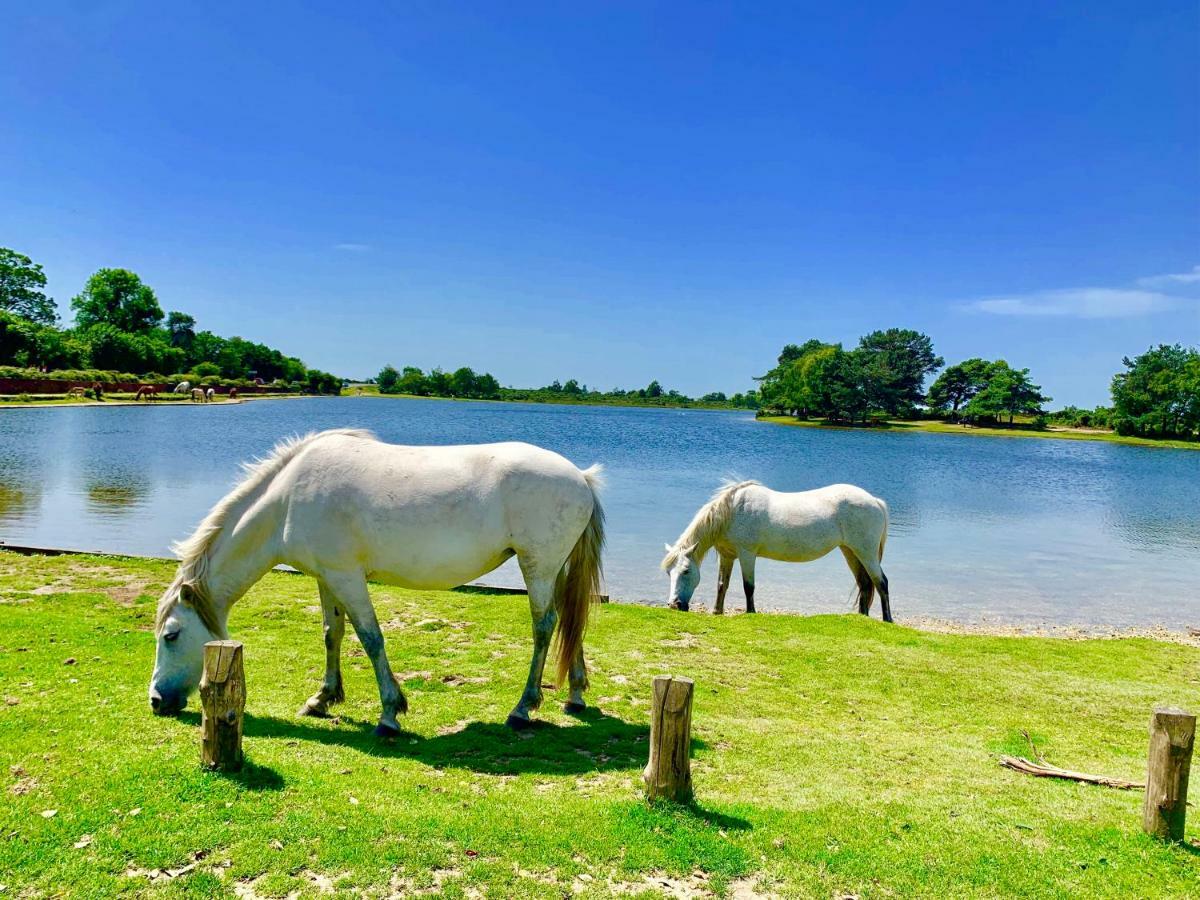 新米尔顿Forest & Beach Access Naish Park公寓 外观 照片